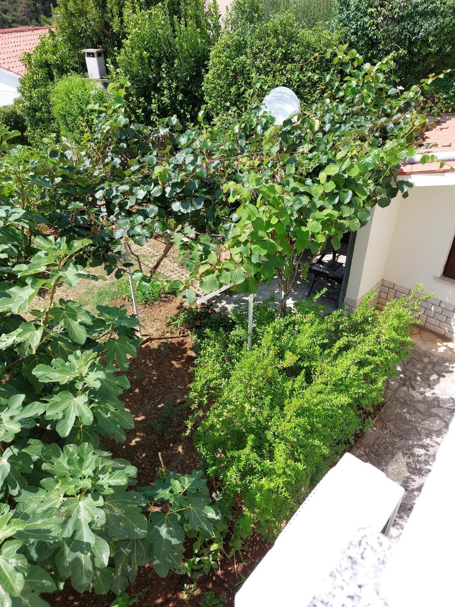 Apartment Kiwi Rabac Exterior foto